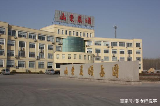 从实业大王到破产边缘 一场房地产的豪赌终局